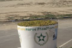 05-Maroc Phosphore